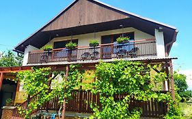 Apartman U Spycharu